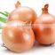 Onions in bulk