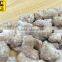 Best quality coconut coated cashew Vietnam origin