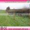 wire farm fence(manufacturer)