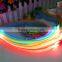 LED Pet Leash