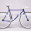 High Quality Cheap Custom Most Popular Classic Lady Iron Frame Single Fixed Gear Bike KB-700C-M16084