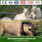 goat fence/horse fence panel/best price field fence/sheep and goat fence