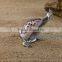 High quality gift pewter & natural shell figurine home decor