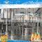 Direct Factory Price!! hot filling line