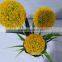 Wholesale Fashion Beautiful artificial dandelion flower Artificial Dandelions with Led Light