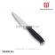 Set kinife kitchen Germany