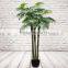 Fake Decorative Fan Palm