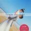Photographic Grade Silk Wave Cold Lamination PVC Film