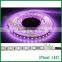 5050 rgb led strip 60leds/m led light rgb strip ip65 cob led strip