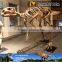 MY Dino-C034 Museum good quality dinosaur skeleton