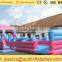 Inflatable Dolphin Slide Small for Sale