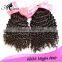 Wholesale 100% Human Hair Extensions Virgin Brazilian Hair Free Sample