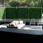 Hot sale boxwood hedge wall for garden decoration
