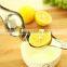 high-quality kitchen tools ,lemon juicer,lemon juicer machine,manual lemon juicer