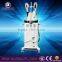 China Slimming Vertical Freezing Fat Cell Slimming Machine