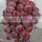 Fresh seeded grapes fruits with reasonable price