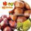 Ready to eat Roasted Peeled Chestnuts snacks