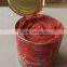 Canned Tomato Paste 28-30% Price Canned Tomato Paste
