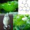 GMP Factoty Supply Natural Lotus Leaf Plant Extract