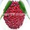 JSX peeled small red kidney beans from china selected pure red kidney bean