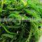Chuka wakame kosher