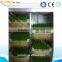 wheat sprout machine for farm
