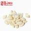 Chinese Best Price White Pumpkin Seeds