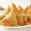 Electric samosa spring roll ravioli dumpling machine for home