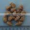 Unique style First Grade high fiber textured soya protein machine