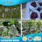 100% New Polypropylene raw material banana bunch bag