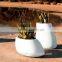 resin fiberglass garden oval planters garden urn planter wholesale home decoration