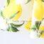 ShiJ Baby Girls Dress Lemon 100% Cotton In Stock Kids Clothes