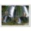 Galvanized Iron Wire