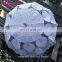 Black With Gold Gothic Party Dancing Umbrella Lace Parasol Wedding Shower Decoration Bridal Umbrella Wedding Table Centerpieces