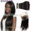 360 Lace Frontal Wig Malaysian Human Hair Straight Lace Frontal With 360 closure lace frontal