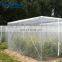 HDPE insect repellent net/plastic Anti Aphid Net/greenhouse insect proof net for Agriculture