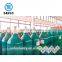 Different Sizes And Colors Empty Seamless Steel Gas Bottle Price ISO9809-1 40L Argon Gas Cylinder Used For Sale