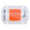 F6040 220V 50W COB LED Chip 620nm For Indoor Greenhouse Plants Growth