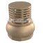 BT5005 good market swing basement floor drain check valve