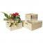 Wholesale unfinished small wooden apple crates for crafts set of 3