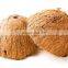 Raw Coconut With Best Quality/Cheap Raw Coconut Shells for making charcoal from Vietnam