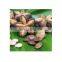 100% organic sacha inchi wholesale/Supply SACHA INCHI from VIETNAM with good price