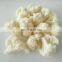 Sinocharm BRC Approved 3-5CM IQF White Cauliflower Cut Frozen Cauliflower
