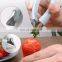 Strawberry Huller Multifunctional Fruit & Vegetable Eye Remover For Pipeapple Potato Tomato Stem