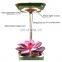 Pots For Succulent Plants Grow Lights Led Table Lamps Growing Led Light For Plant Growth Music Player With Clock