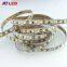 Aaccent decor,and automotive accents SMD 2835 120leds/m Led Strip Flexible DC 12V/24V Led Strip Led Led Lights