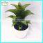 25cm high quality real touch succulent plant artificial plant bonsai