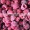 supply cheap and high quality Frozen Raspberry