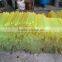 PU Polyurethane Elastomer