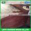 good quality A/B/C/D grade small size 7x4 ft 0.3mm natural plb face veneer